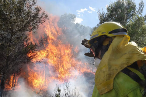 Incendios.- Se declara un incendio forestal en El Pinós (Alicante)