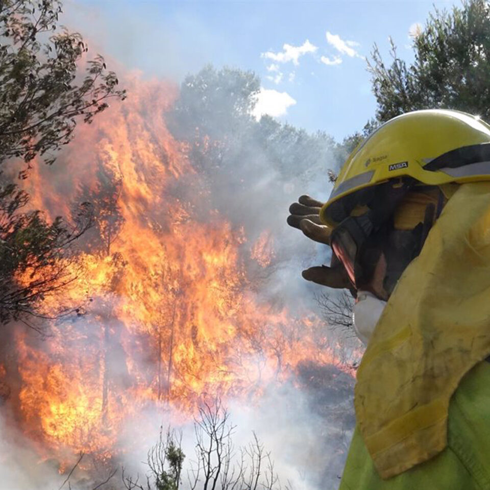 Incendios.- Se declara un incendio forestal en El Pinós (Alicante)